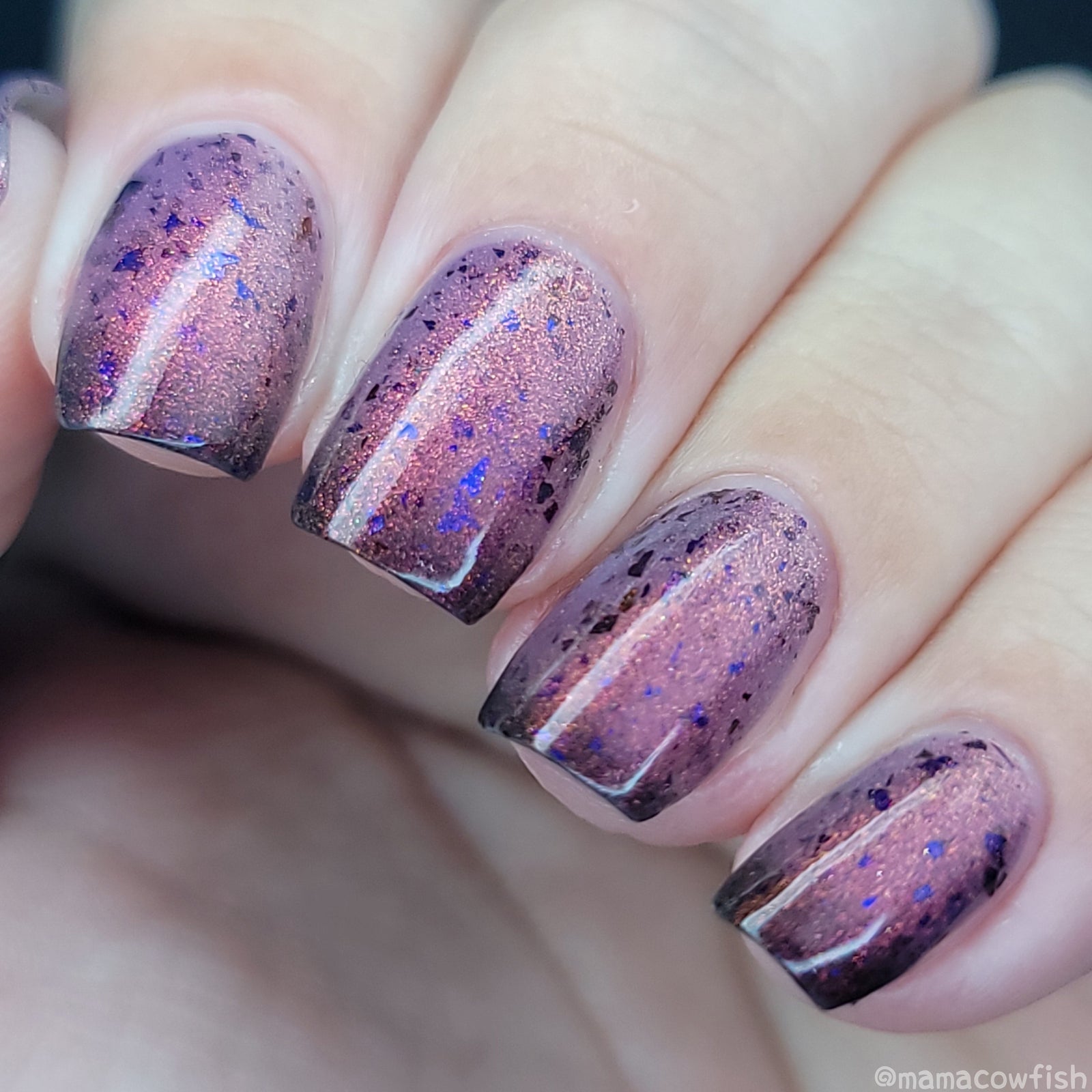 Hexcellent
