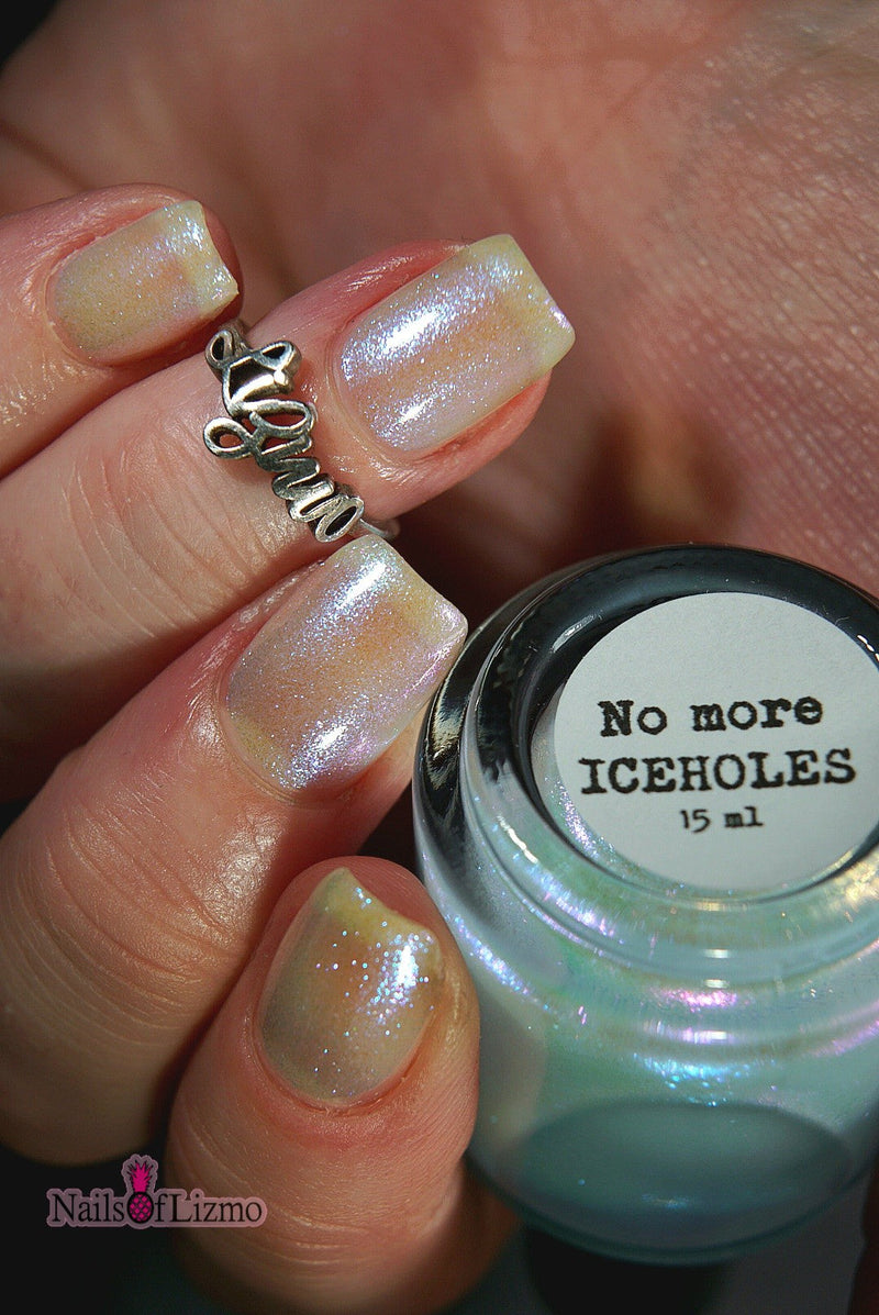No More ICEHOLES
