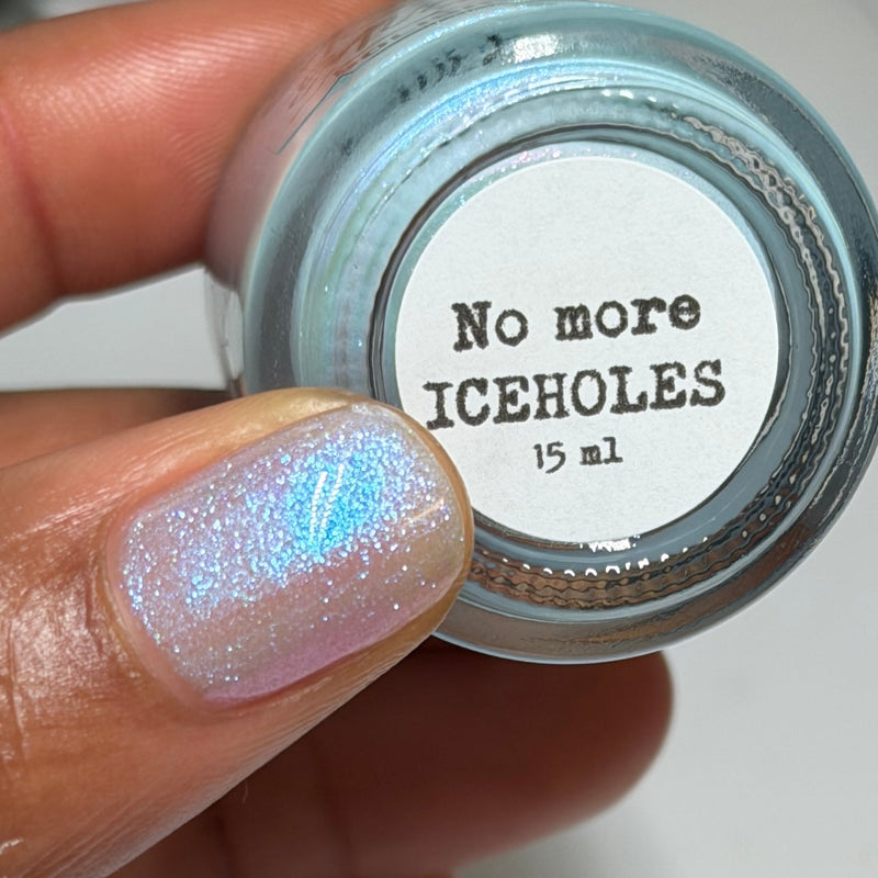 No More ICEHOLES